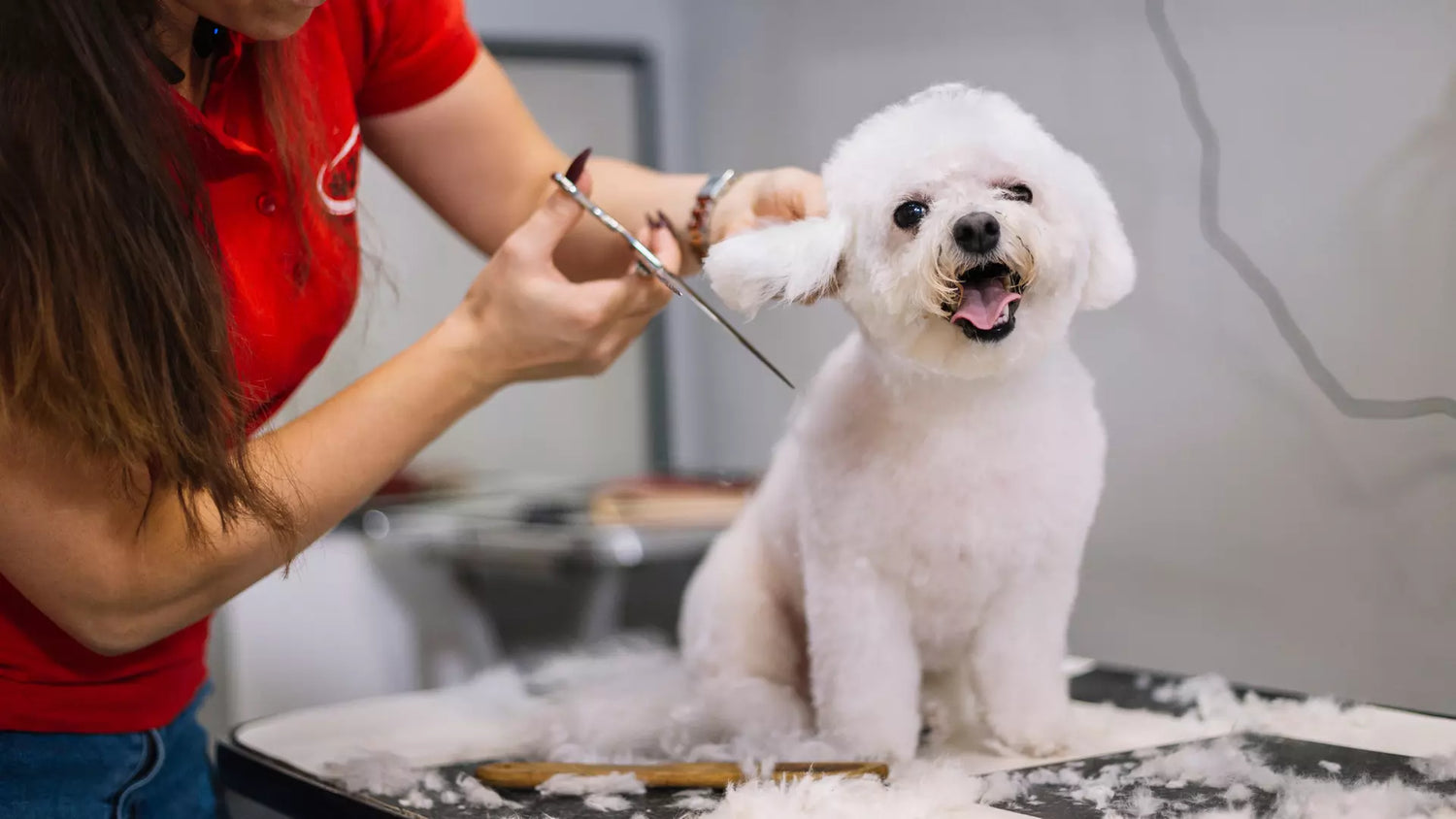 Grooming